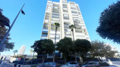 Apartment in Playa del Arenal Bol-Playa del Cantal Roig photo 3