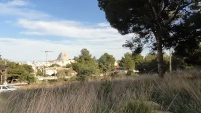 Terreno en venta en Casco Antiguo - Vista 4