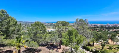 Terreno en venta en Oltamar-Cucarres - Vista 2