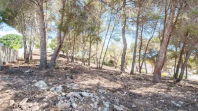 Terreno en venta en Núcleo - Vista 5