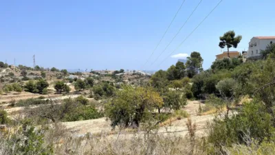 Terreno en venta en Casco Antiguo - Vista 4