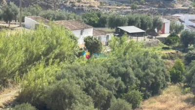 Rustic Finca in Oria photo 48