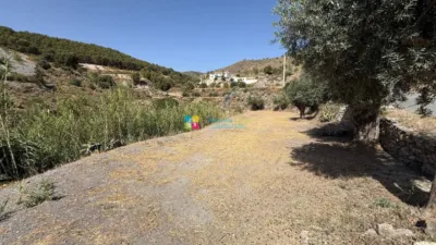 Rustic Finca in Oria photo 46