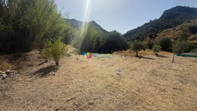 Rustic Finca in Oria photo 39