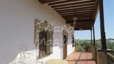 Rustic Finca in Porcuna photo 11