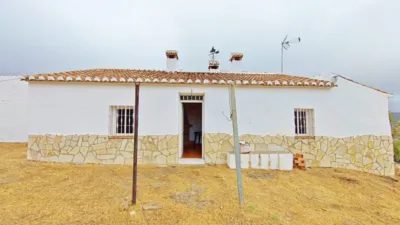 Apartment in Almáchar photo 4