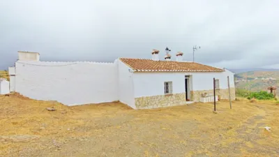 Apartment in Almáchar photo 3