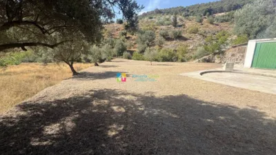 Rustic Finca in Oria photo 37