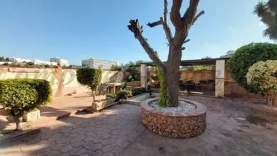 House in Capistrano-Cueva de Nerja photo 26