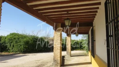 Rustic Finca in Porcuna photo 14