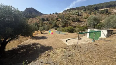 Rustic Finca in Oria photo 40