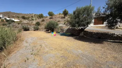 Rustic Finca in Oria photo 47