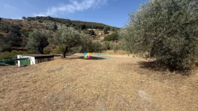 Rustic Finca in Oria photo 36
