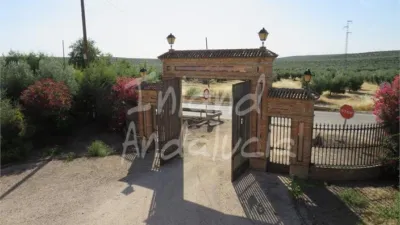 Rustic Finca in Porcuna photo 10