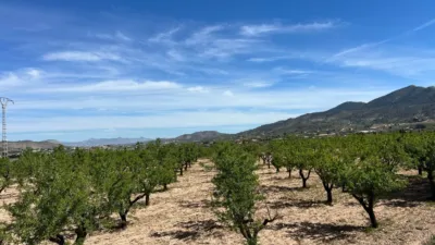 Terreno en venta en Hondón de los Frailes - Vista 2
