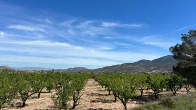 Terreno en venta en Hondón de los Frailes - Més