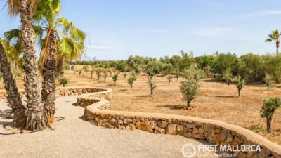 Rustic finca in Santanyí photo 37