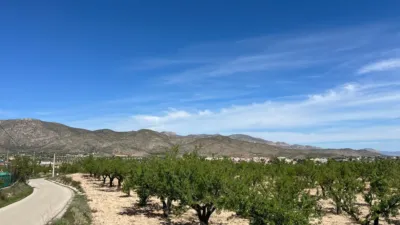 Terreno en venta en Hondón de los Frailes - Vista 4