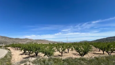 Terreno en venta en Hondón de los Frailes - Vista 5
