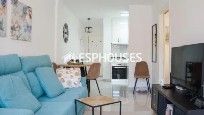 Pis – Torrevieja - Vista 3