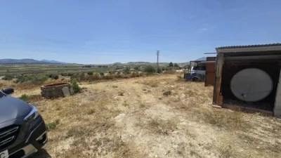 Rustic Finca in El Pinós - Pinoso photo 6