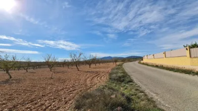 Terreno en venta en El Pinós - Pinoso - Vista 3