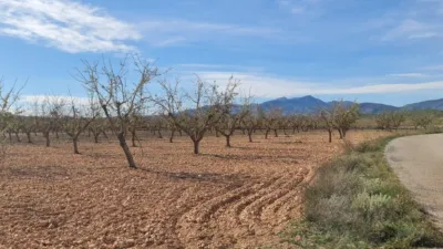 Terreno en venta en El Pinós - Pinoso - Vista 4