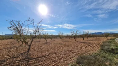 Terreno en venta en El Pinós - Pinoso - Vista 2