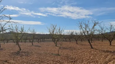 Terreno en venta en El Pinós - Pinoso - Més