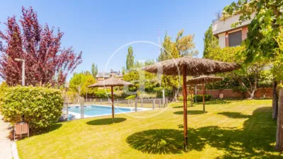 Apartment in Zona Norte photo 4