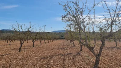 Terreno en venta en El Pinós - Pinoso - Vista 5