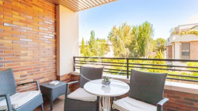 Apartment in Zona Norte photo 2