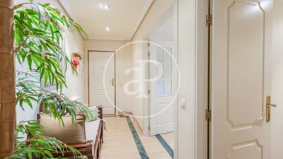 Apartment in Zona Norte photo 34