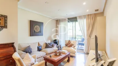 Apartment in Zona Norte photo 9