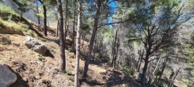 Terreno en venta en Calpe - Calp - Més