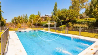 Apartment in Zona Norte photo 5