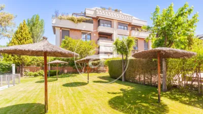 Apartment in Zona Norte photo 38