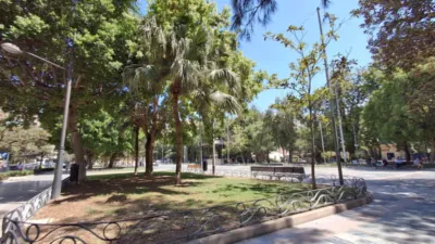 Pis – Orihuela, Severo Ochoa - Vista 3