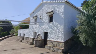 Finca rústica en Canillas de Aceituno photo 3