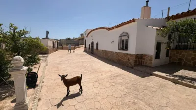 Rustic Finca in Jumilla photo 12