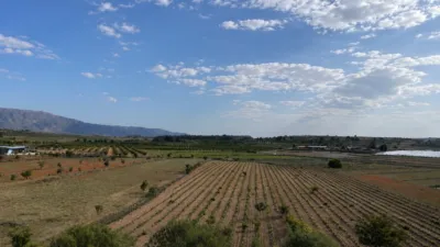 Terreno en venta en El Pinós - Pinoso - Vista 3
