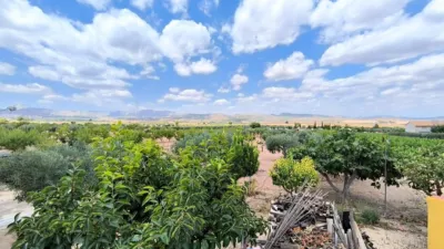 Rustic Finca in Yecla photo 7