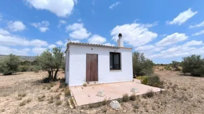 Rustic Finca in Caudete photo 2