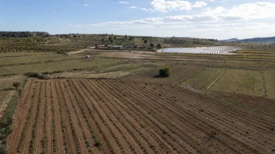 Terreno en venta en El Pinós - Pinoso - Vista 2