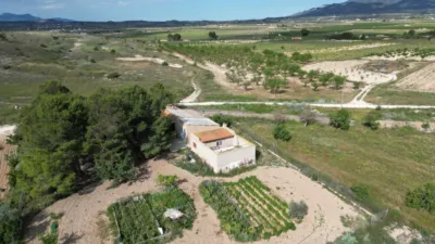 Terreno en venta en El Pinós - Pinoso - Vista 4