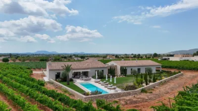 Villa in Binissalem photo 53