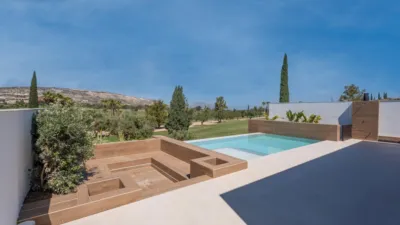 Villa in Algorfa photo 7