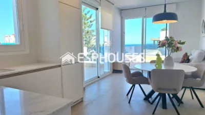 Pis – Torrevieja - Vista 5