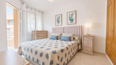 Pis – Orihuela, El Pinar de Campoamor, Dehesa de Campoamor - Més