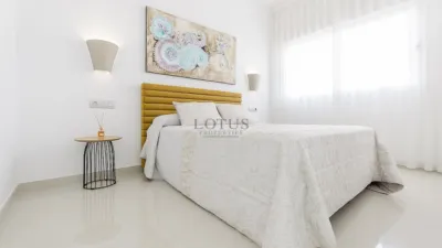Chalet in Los Montesinos photo 16